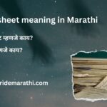 Chargesheet meaning in Marathi