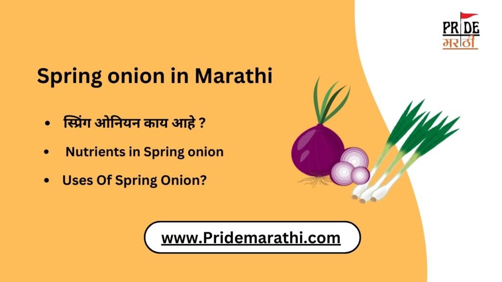 Maiden Name Meaning In Marathi Maiden Name maiden-name-meaning-in-marathi-maiden-name
