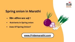 Spring onion in Marathi